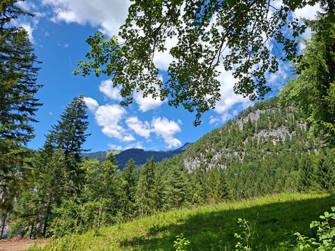 Ennstaler Berglandsaft, Steiermark 