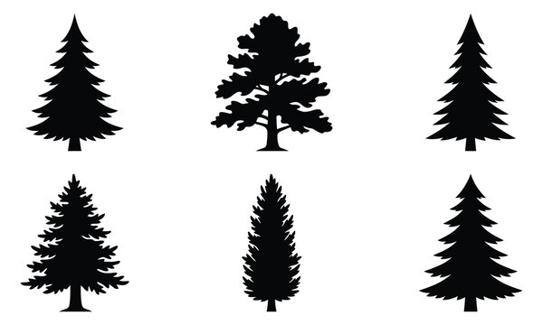 Black silhouette pine tree collection evergreen forest elements for design