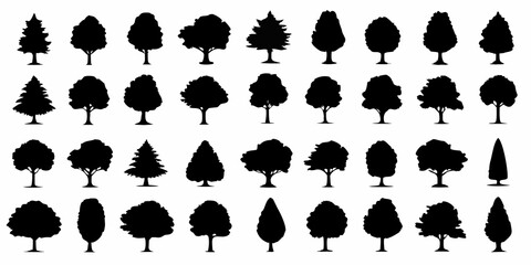 Black silhouettes of various tree types against a white background botanical collection arboricultural © Lolita