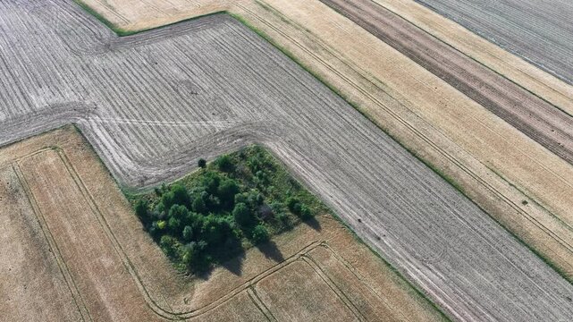 Aerial drone view of rural villages and agricultural fields near Opole and Nysa in Poland, showing geometric farmland patterns, scattered houses, winding country roads and green meadows in daylight.