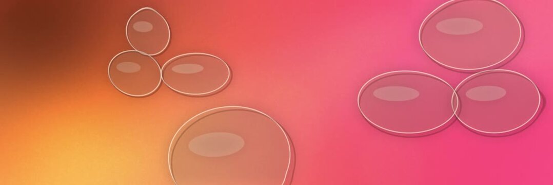 Floating transparent glass bubbles over an orange, coral and hot pink gradient, website banner seamless loop animation with a vibrant colorful background