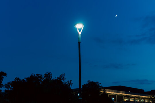夜間照明に包まれた静かな公園と散歩道