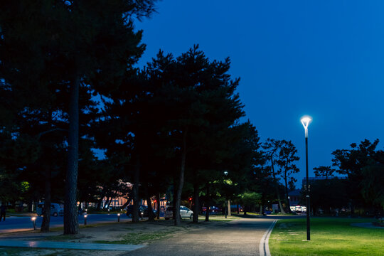 深い青の空が広がる夜の公園風景
