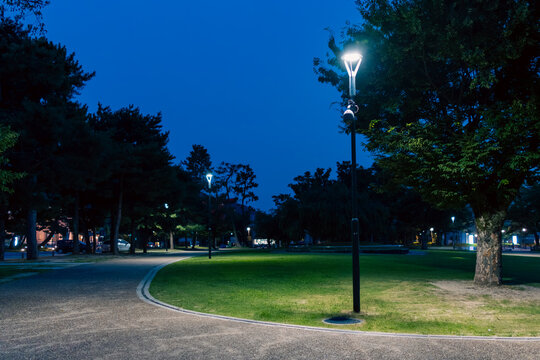 街灯の光が導く夜の公園の遊歩道