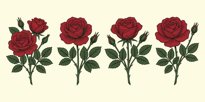 Red rose flower element set with green leaves and buds isolated vector illustration for romantic design