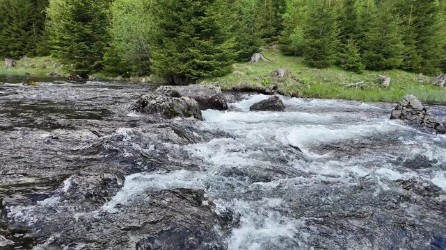 Nature wildness. River creek cascade. River flow in nature. Natural stream of river rock. Water of river flow in wilderness. Wilderness nature brook. Stream of creek water. Forest stream