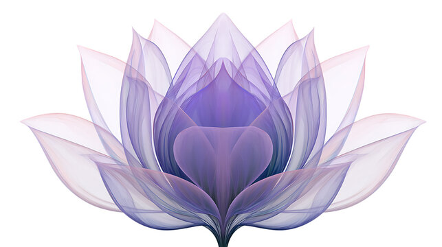 Delicate lotus flower illustration in shades of lavender and white on transparent background
