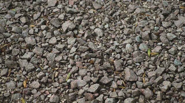 Crushed stone texture with mixed gravel in close-up detail. Rough mineral surface revealing irregular rock fragments and natural color variation. Stone background, aggregate material, granular texture