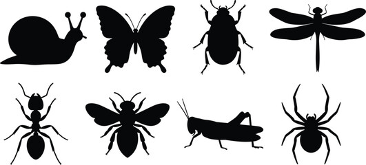 Insect Silhouette Vector Icon Set Featuring Butterfly Dragonfly Bee Spider Ant Beetle and Snail © Md Baccu