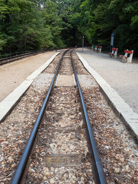 railroad tracks in the forest