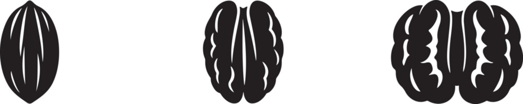 Pecan icon vector for healthy nutrition, organic food, baking and snack design projects use.