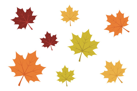 Autumn fall leaves collection with various colors and sizes, vector illustration isolated on transparent background.