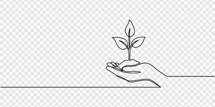 Continuous one line drawing of hand holding small plant sprout, minimalist nature and growth concept illustration, Continuous one line drawing of cupped hands holding a small growing plant