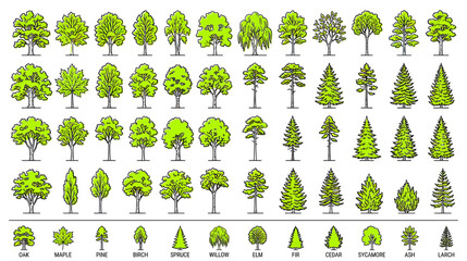 Fototapeta premium Collection of Hand-Drawn Trees in Various Styles