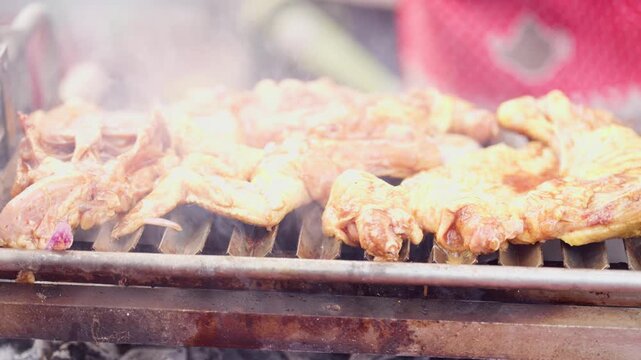 Hand Basting Juicy Barbecue Chicken with Sauce on Grill Close Up