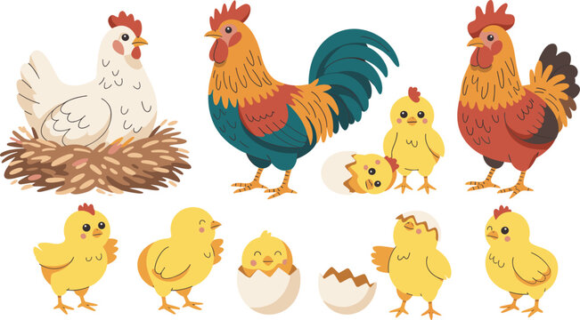 Cute cartoon farm poultry set with rooster hen sitting in nest and yellow chicks hatching from egg vector illustration