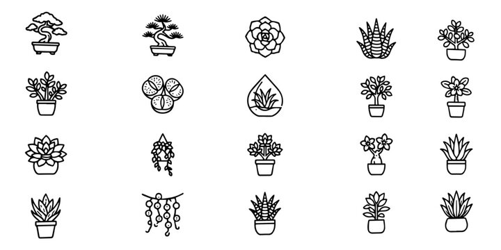 Minimalist house plants vector icons set with elegant black line art potted succulents and bonsai logo elements