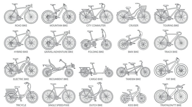 Variety of Bicycle Types Illustrated
