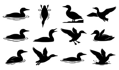 Fototapeta premium Loon Silhouette Vector Illustration Bundle, Collection of Aquatic Bird Designs for Nature and Wildlife