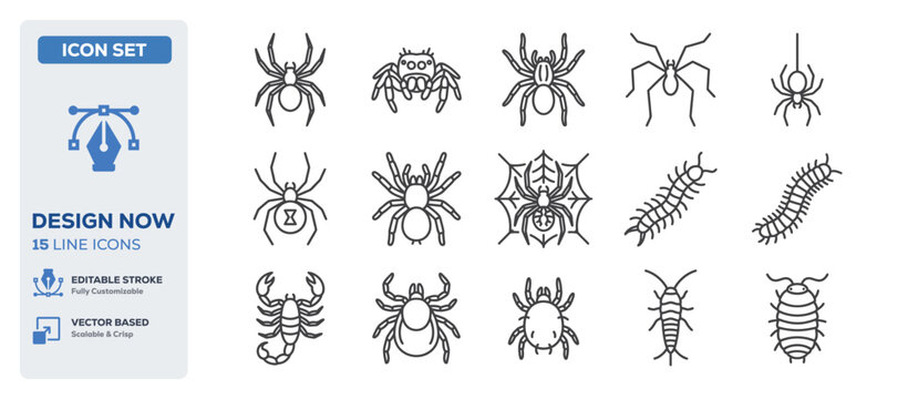 flat vector illustration line art icon bundle set design highlighting crawling creepy spiders scary black tarantulas halloween bug insects and horror nature wildlife UI app