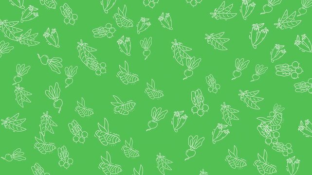 Doodle vegetable pattern with radish, pea, and ginger sketches suitable for food packaging, kitchen decor, or recipe books. Vibrant and unique illustration.