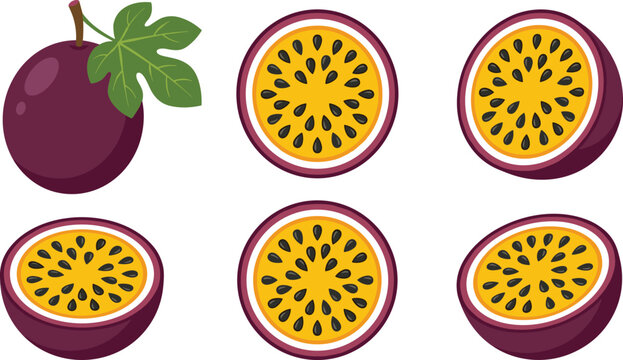 Set of fresh passion fruit halves and whole fruit illustration with passionfruit tropical nutrition vegetarian