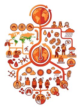 Global warming impact on human health and disease spread infographic