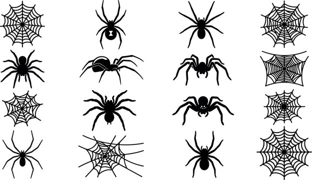 Black spider silhouette vector set including red black widow tarantula and detailed cobweb patterns for creepy Halloween graphic design elements isolated on white.