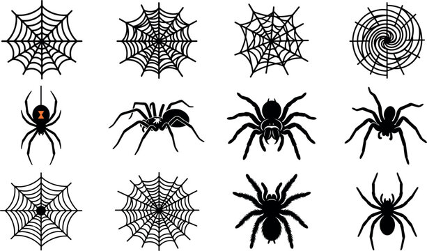 Black spider silhouette vector set with red black widow tarantula and intricate cobweb patterns for creepy Halloween graphic design elements isolated on white.