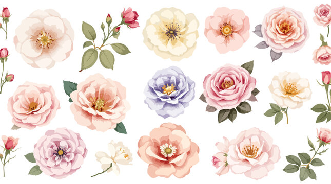 seamless pattern with flowers