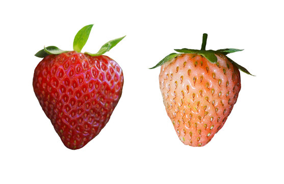 A pair of red and white strawberries on a white background