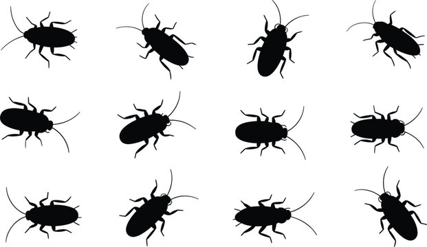 Cockroach silhouette collection, crawling insect pests for biology, pest control and nature illustration projects vector