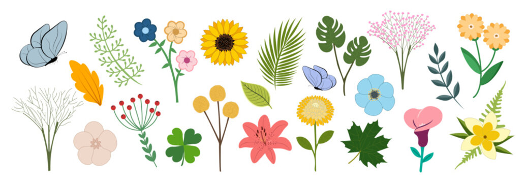 Beautiful romantic nature flowers, roses and plant leaves in vibrant colors vector illustration isolated