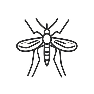 Outline of a mosquito insect, simple line drawing, isolated on white, common pest symbol