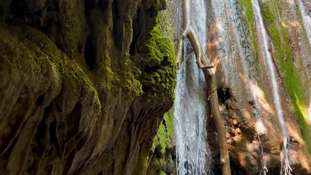 The water flows down moss-covered rocks and growths against the backdrop of dense greenery and a cascade of waterfalls. The concept of gorges and cave formations, wildlife, waterfalls and springs