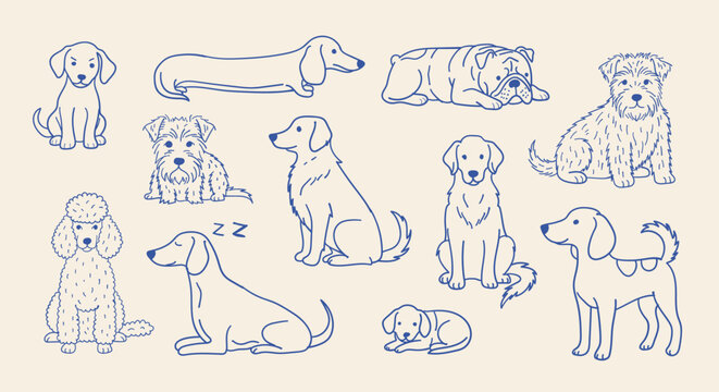 Set of cute hand drawn dog breeds in doodle style
