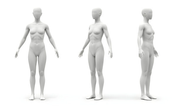 Anatomical study featuring a 3D rendered female mannequin body displayed in multiple rotation angles for medical and artistic reference