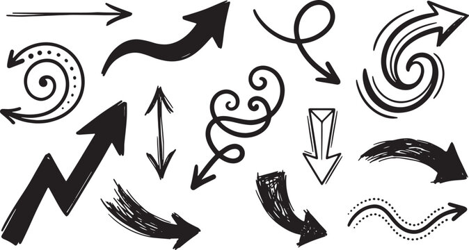 Black and white of various birds in flight wings beak talon