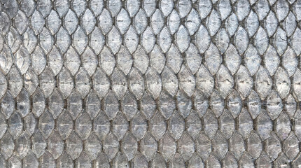 Overlapping metallic fish skin texture background