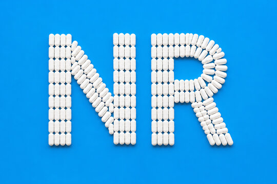 White plastic building blocks are arranged to spell the letters NR against a bright blue background.