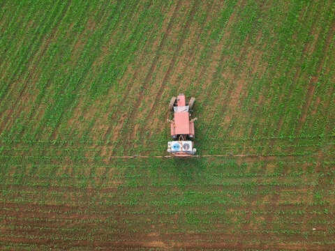 Farming tractor spraying green agricultural crops field
