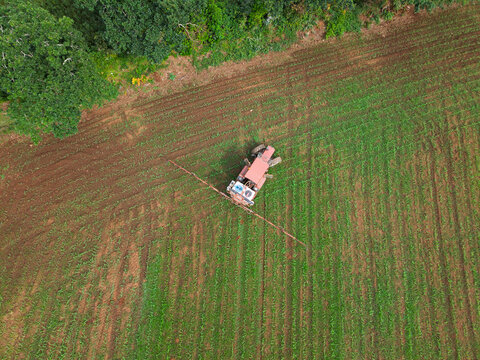 Agricultural tractor spraying crops in a green field