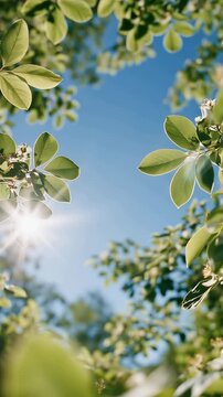 Fresh green summer leaves swaying beneath a bright blue sky, vertical video capturing sunlight, gentle movement, and peaceful nature with copy space