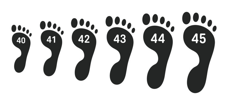 Foot Size Chart: A graphic representation of human footprints in varying sizes, labeled with numerical shoe sizes from 40 to 45, useful for shoe fitting and measurement.