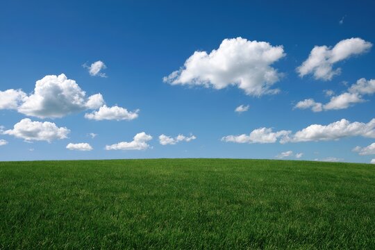 Vast green expanse under a bright blue sky with scattered white clouds