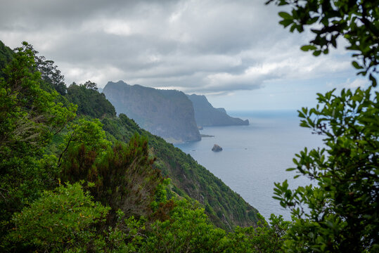 Rugged coastline and ocean viewpoint framed by laurel trees, Vereda do Larano, Madeira