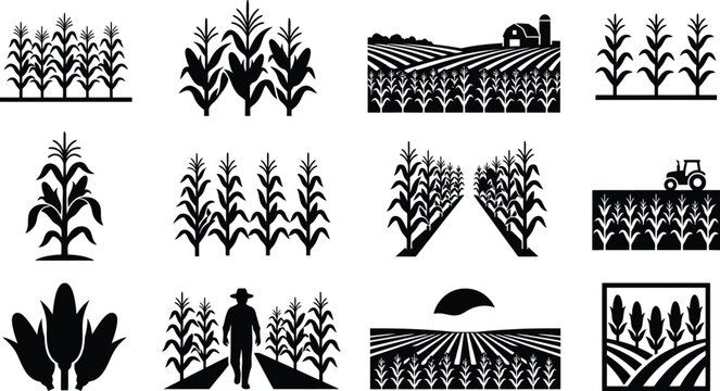 Collection of black and white vector graphic icons depicting corn fields farming landscapes agriculture harvest and rural crop production scenes