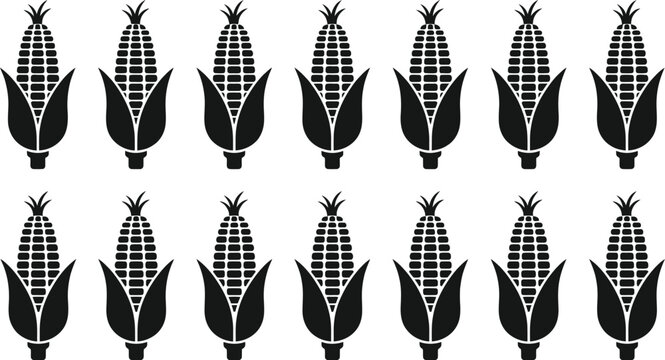 Simple black corn vector illustration featuring multiple rows of uniform organic maize cobs for agricultural branding and food design projects