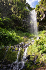 Obraz premium Tall thin waterfall cascading down a fern-covered cliff into lush green forest in Madeira, Portugal