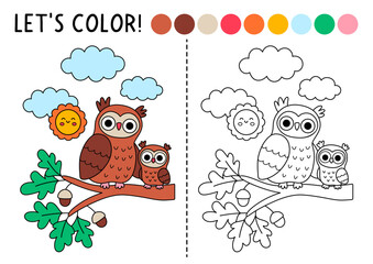 Fototapeta premium Forest coloring page with mama owl sitting on oak tree with baby owlet. Vector wild bird illustration. Color book with colored example. Drawing printable worksheet with line woodland animal